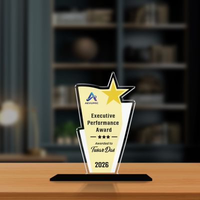 Executive Performance Award Personalized Acrylic Award Trophy Custom with Name  Achievement Award for Employee, Corporate Recognition Thankyou Gift for Employee
